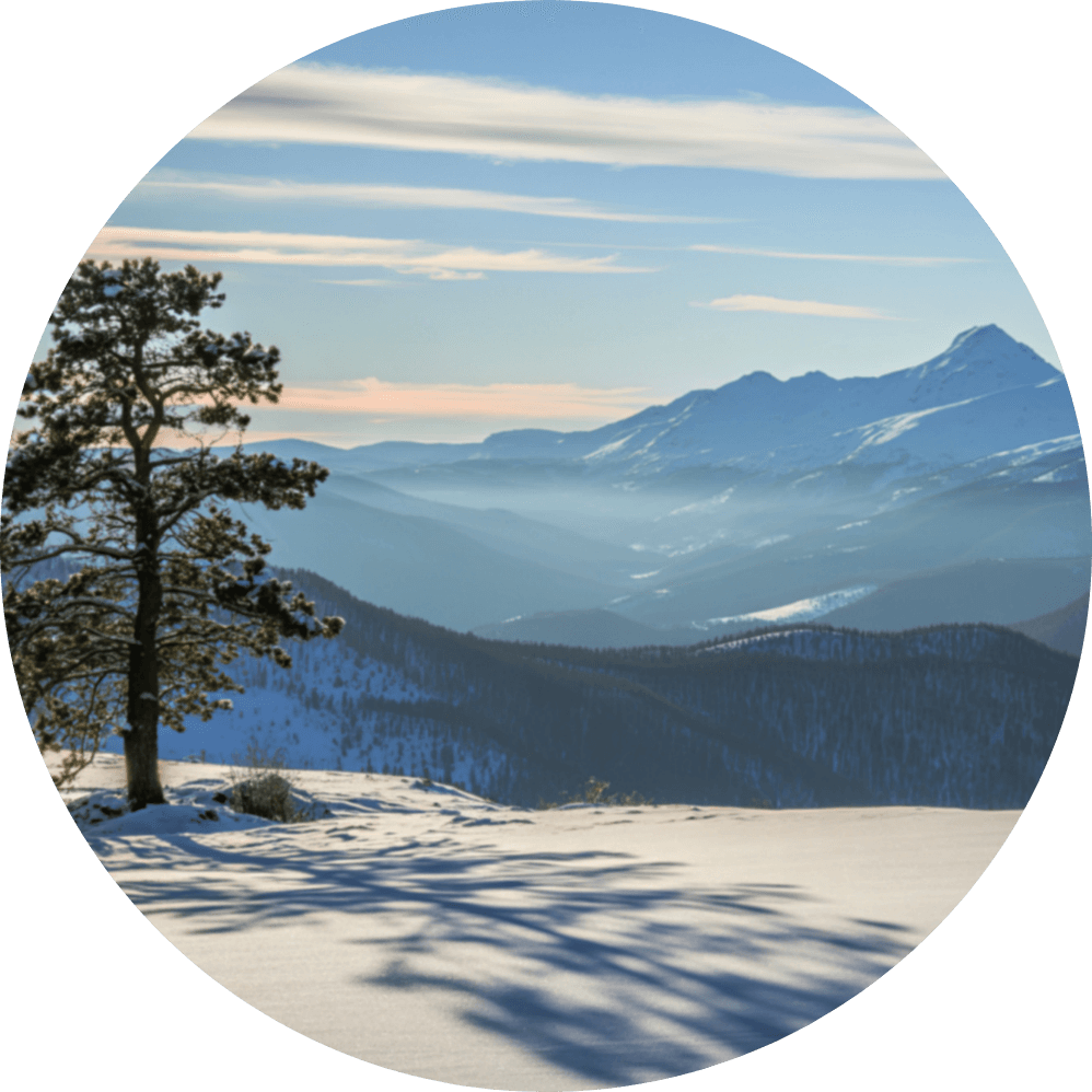 Capital Life Investments distinction